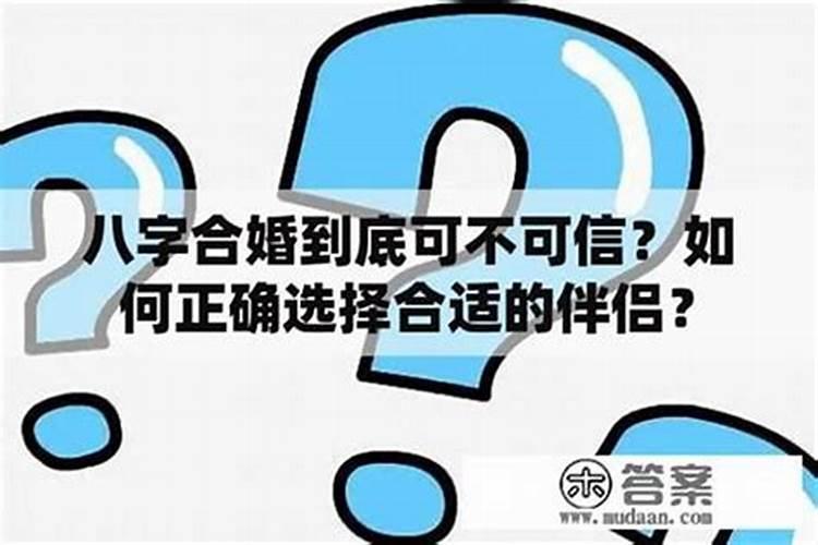 82年的狗和94年的狗相克吗,82年属狗和94年属狗能不能在一起