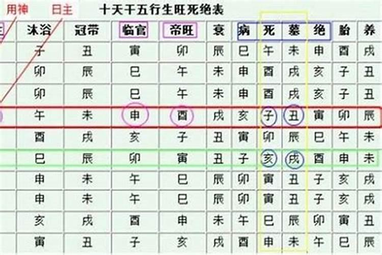 1994女属狗的和1982年男属狗的结婚好么
