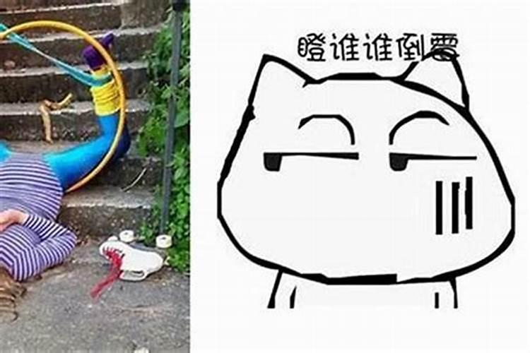 82年与94年属狗的和谐