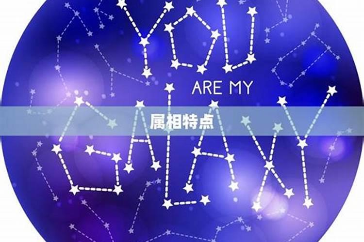 属兔和属猴的合不合 属兔的与属猴的八字合婚怎么样