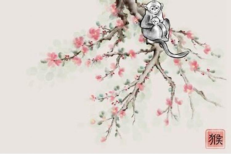 属兔和属猴的婚姻怎么样？八字合不合