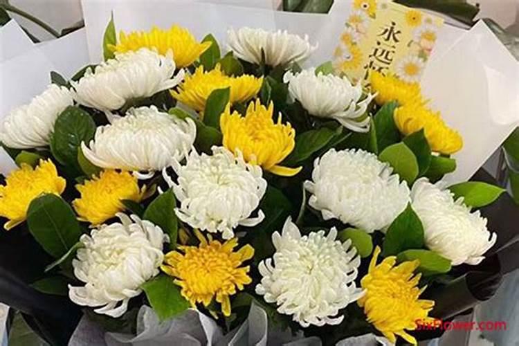 清明节除了送菊花还可以送什么花清明节菊花花束一般是几朵