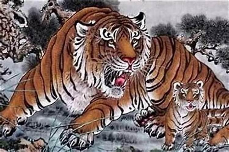 属马正月初五出生的人,属马的生在五月好不好