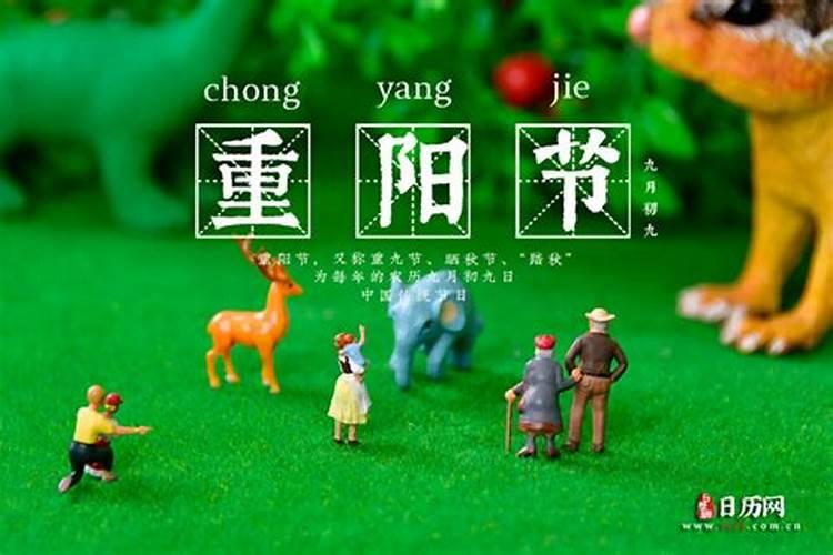 带了法号