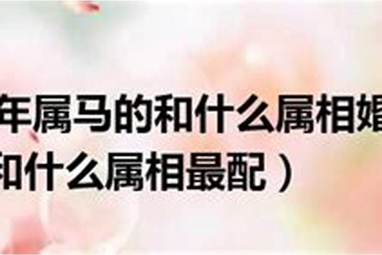 1966年属马和什么属相最配 1966年的人和什么属相最合财