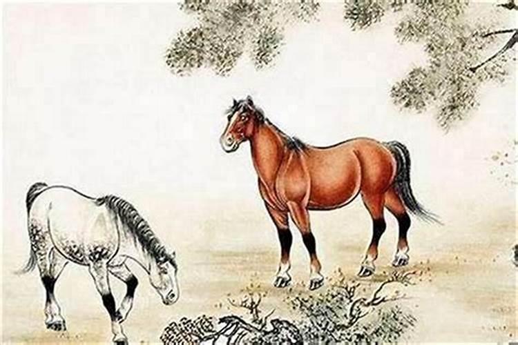属马的6合3合属相是什么属马人和什么属相最不合