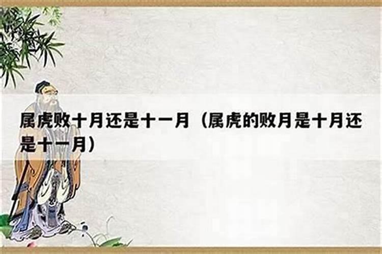 农历10月16日出生的人命运赤手空拳也能创造奇迹？