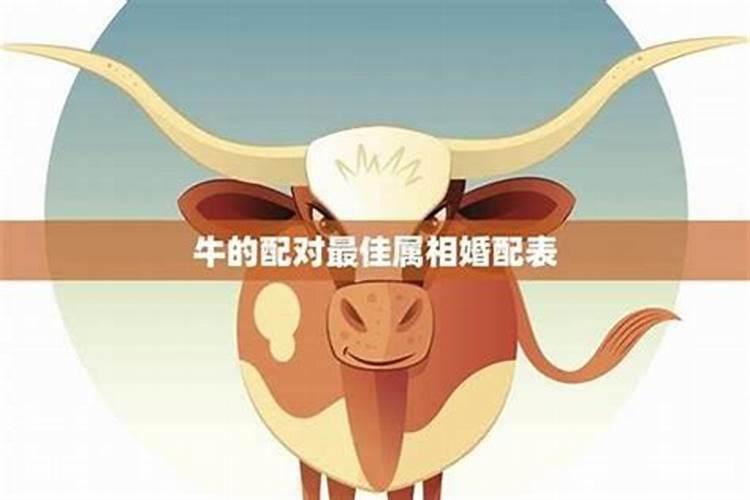 正月初二是什么日子