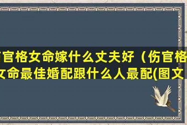 女日柱坐伤官嫁什么人