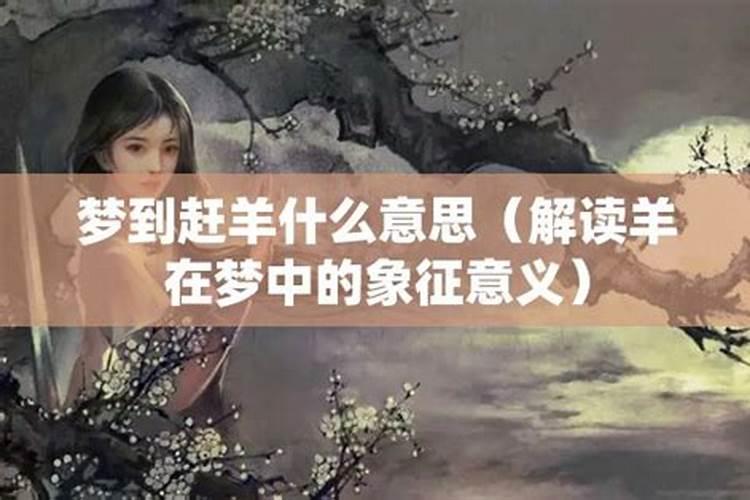 梦见赶动物的预兆