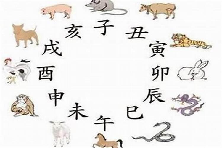 梦见十二生肖动物是什么兆头？