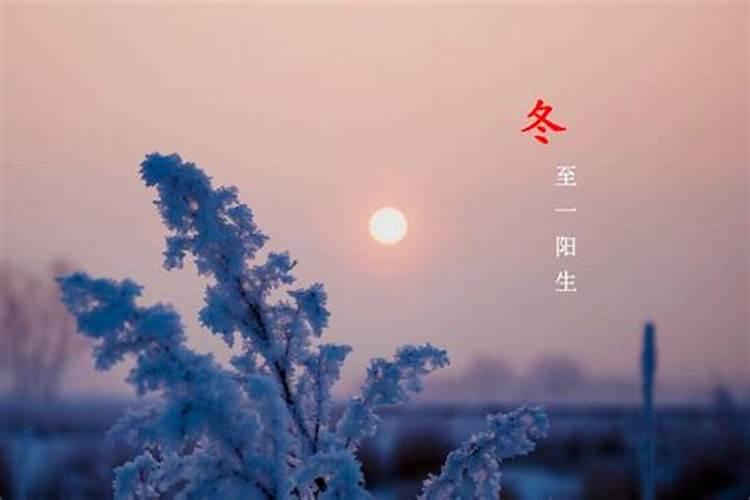 水中有土生可旺何人有情定万家是什么生肖