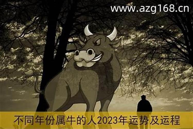 夫妻不和的几种原因 家庭 佛教网 般若文海