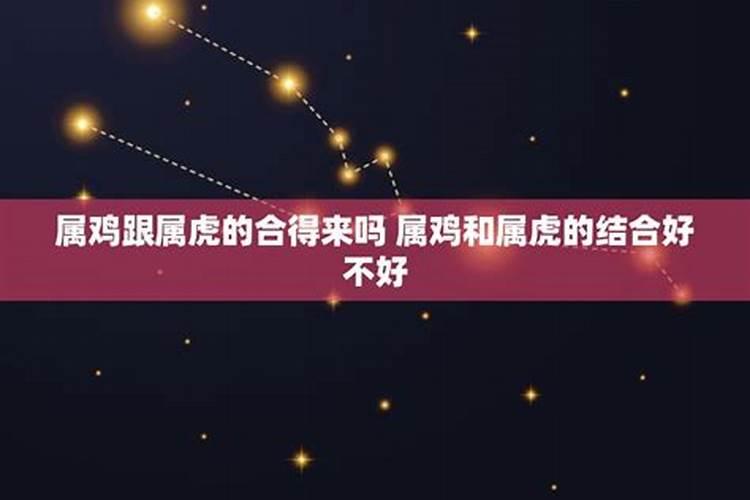 属虎的人和属鸡的人可以结婚吗