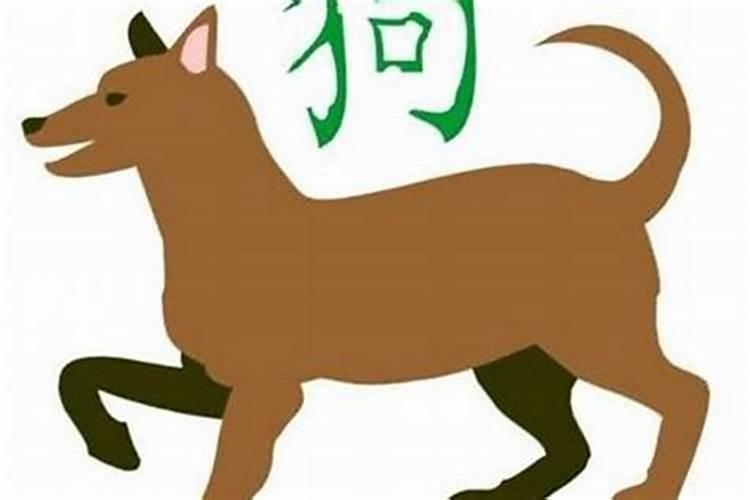 属狗的和属龙的相配吗求解答