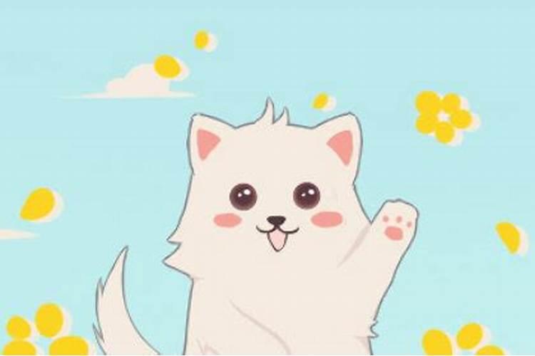 梦见大白狗是什么意思？