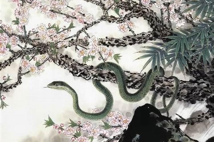 2018年,蛇到猪生肖运势如何？