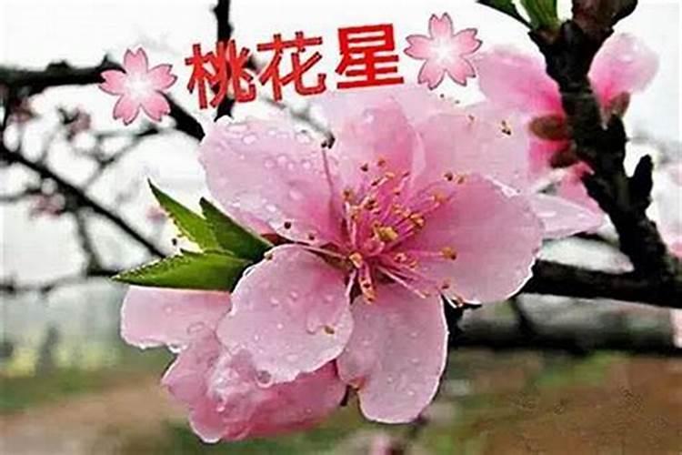 如何用八字看桃花运？