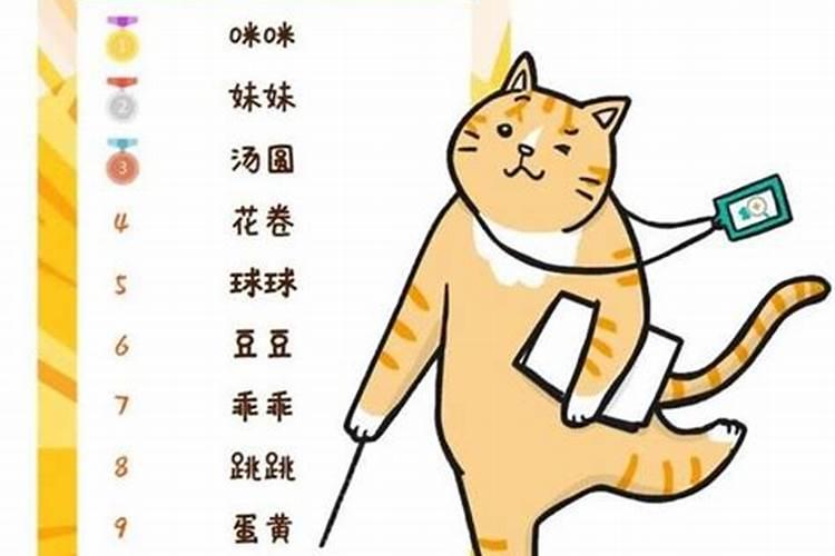 我们家的 小猫被吃了