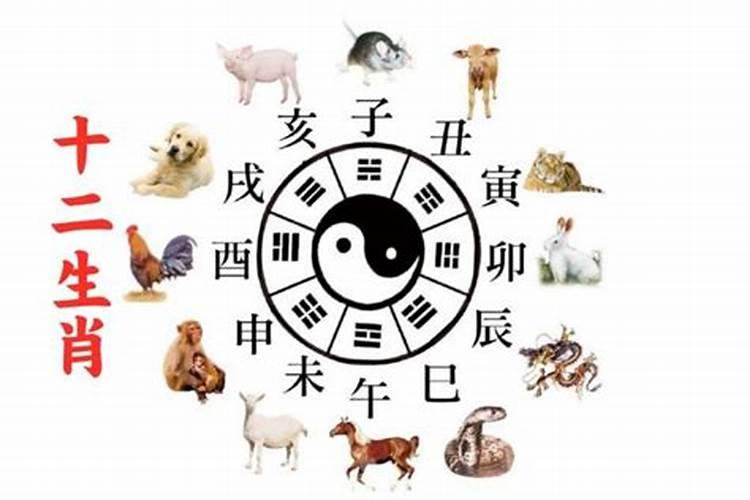 八字合婚合了4个字,合八字怎么合
