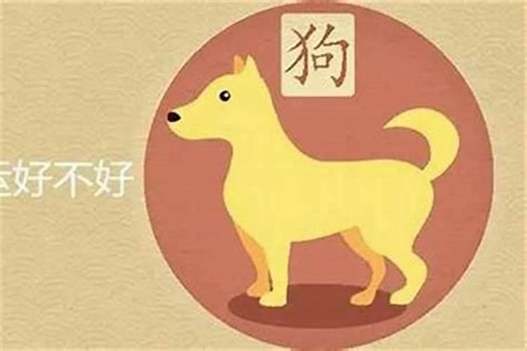 1970年11月初十上午9点的命运