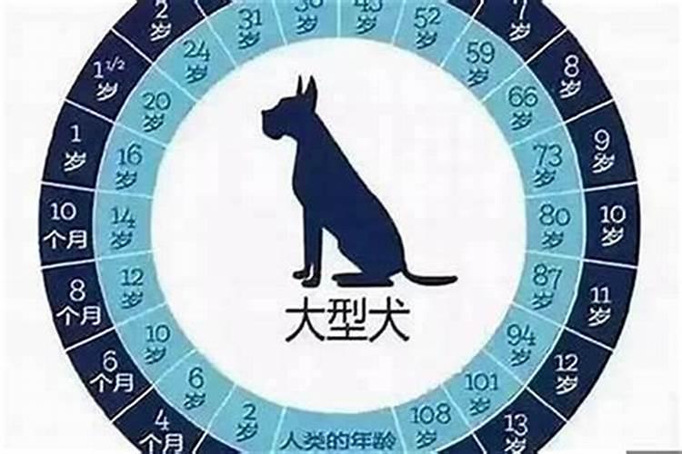 1970年属狗人2025年后十年大运