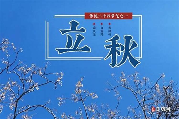 1966年属马人2025年运势如何