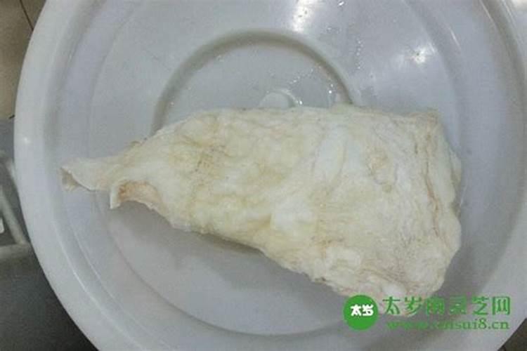 太岁到底是什么东西