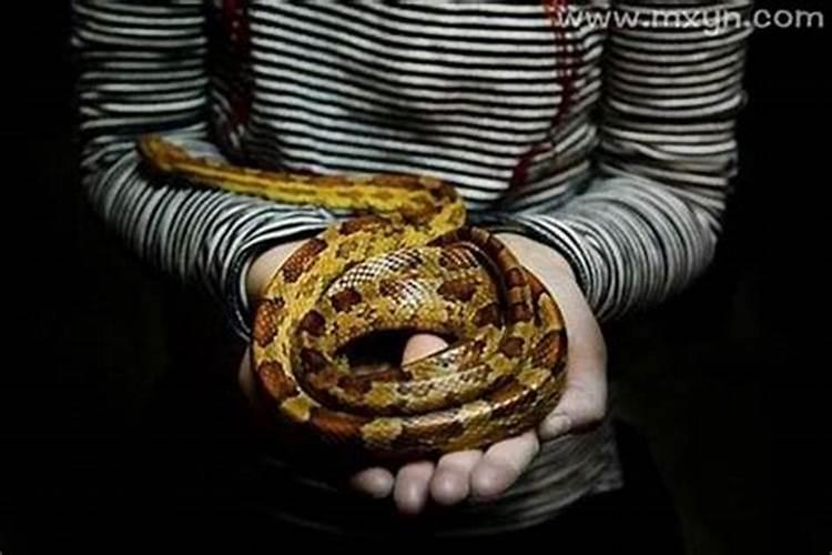 梦到孩子被蛇咬什么意思