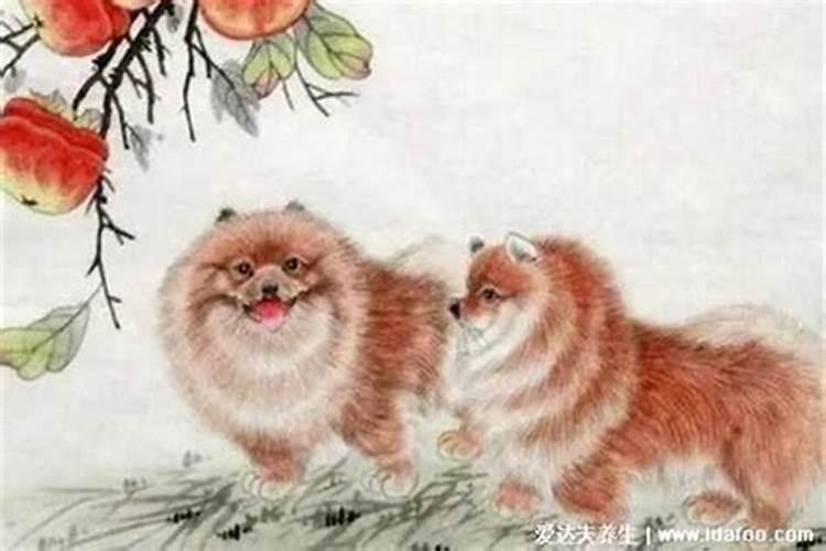 犯太岁真的会倒霉吗,犯太岁有什么讲究