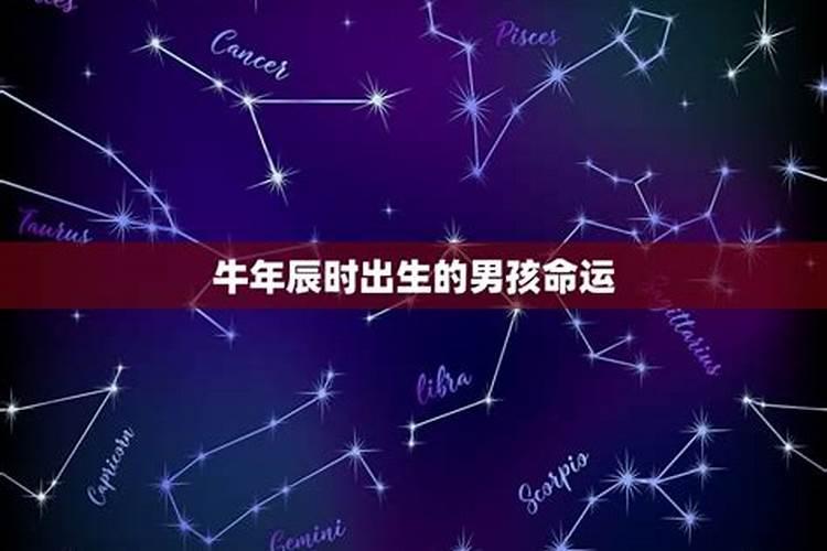 1975属兔2025年50岁以后运气