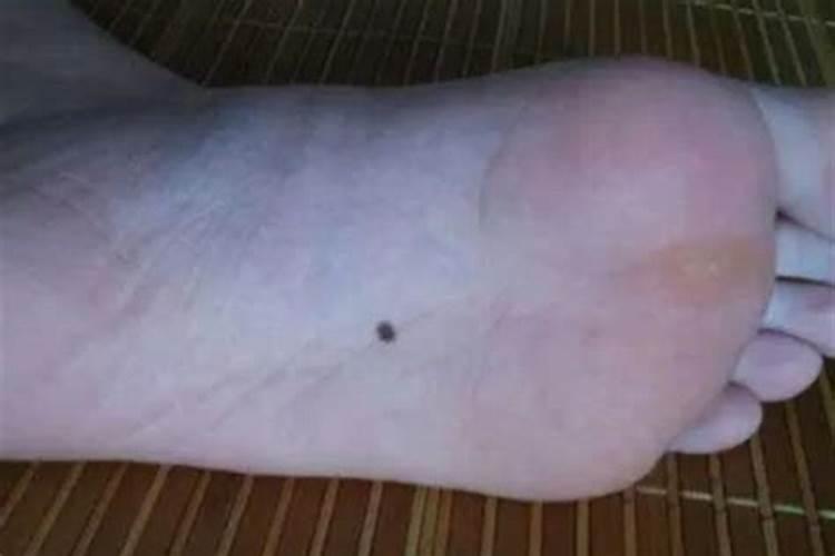童子护体真的有这种说法吗
