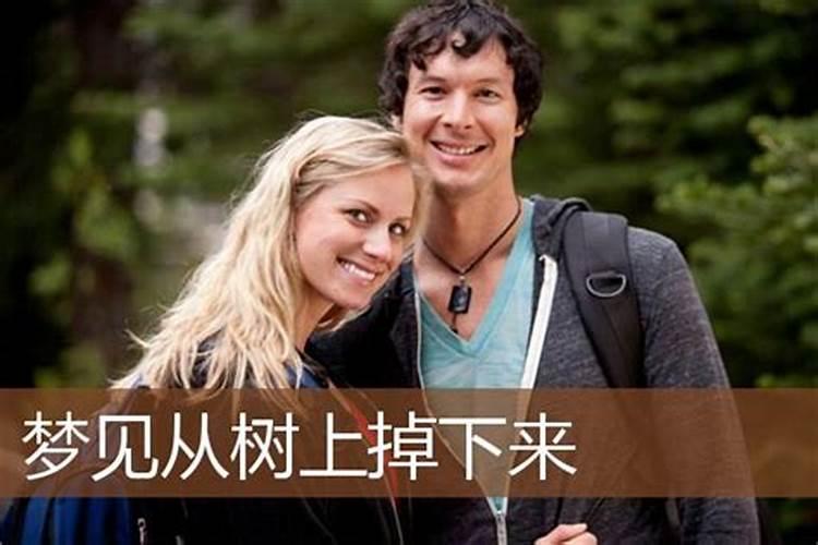 梦见我妹妹从大树上掉下来的预兆