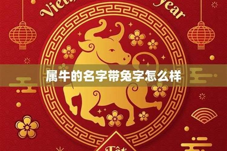 牛年正月出生的男孩小名怎么起萌一些
