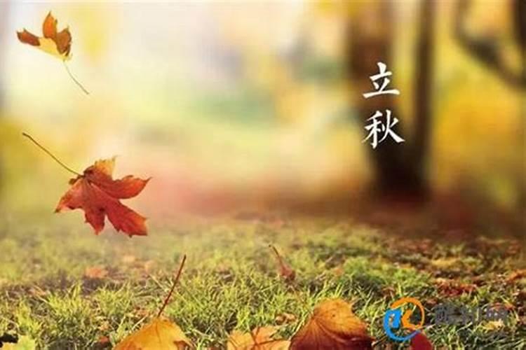 立秋时间和代表的意思