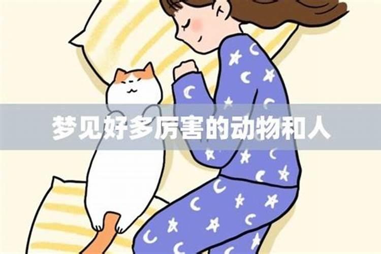 属虎人2024年有什么劫难
