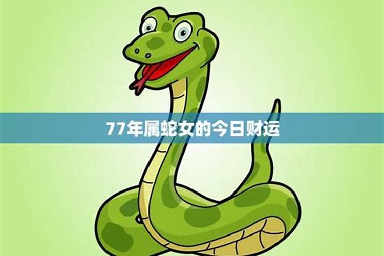 77年蛇女后半生的命