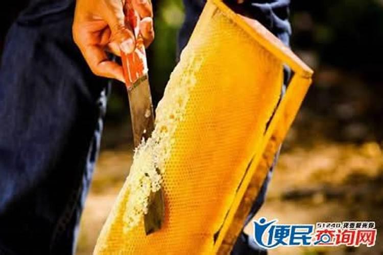 二零二四年农历十一月黄道吉日