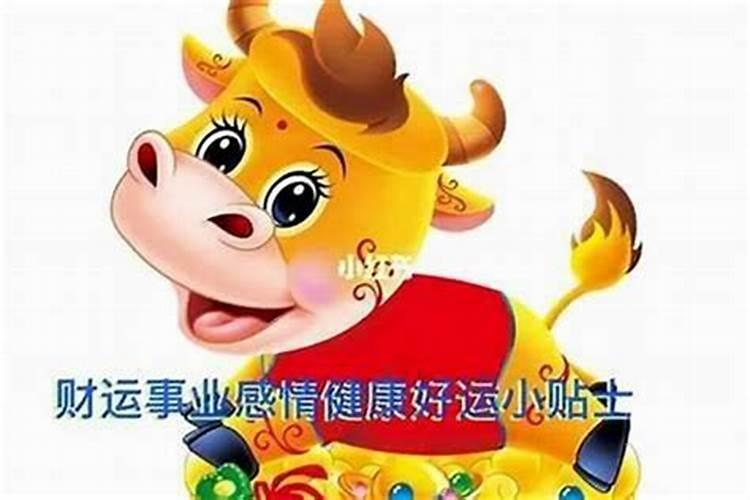 生肖牛女2024佩戴什么 本命年运势怎么样
