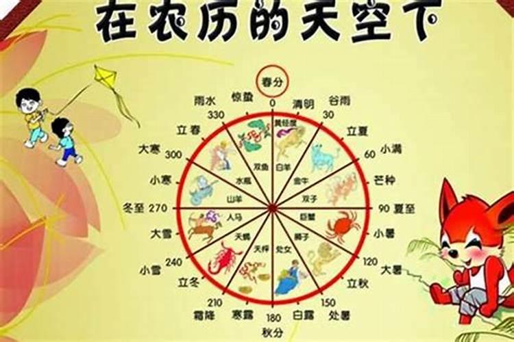 你好,请问石太岁是什么？