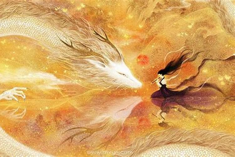 梦见白龙从水中飞上天
