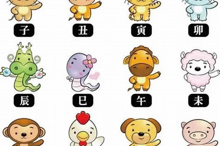 2025属龙今年有一难 2025年属龙人的综合运势如何