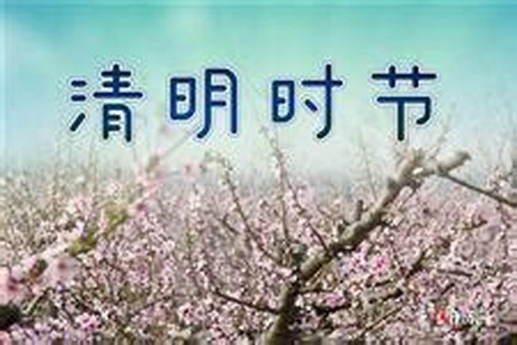 今年清明时辰几点开始