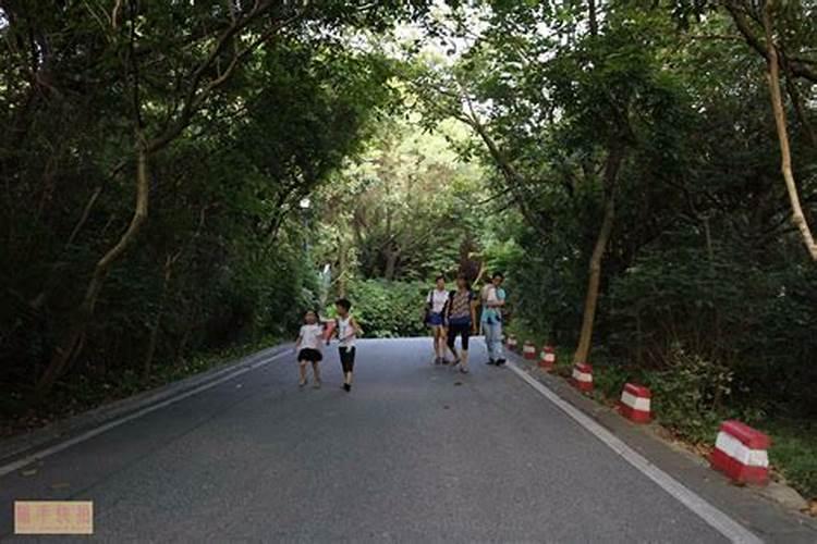 梦见厕所堵塞又通了的预兆