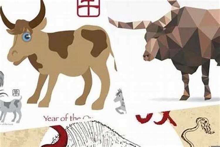 为什么说家蛇不能杀？  知乎