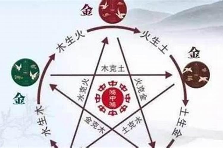 属狗的平地木命最佳配对 和什么命不合