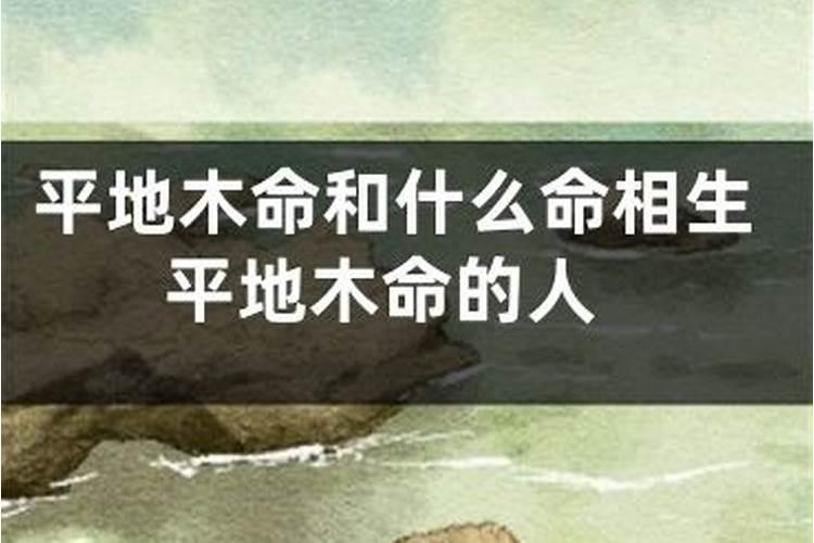 平地木命和什么命相克