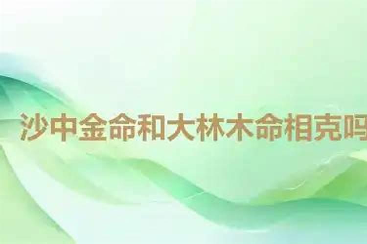 讲诉平地木大驿土能否在一起