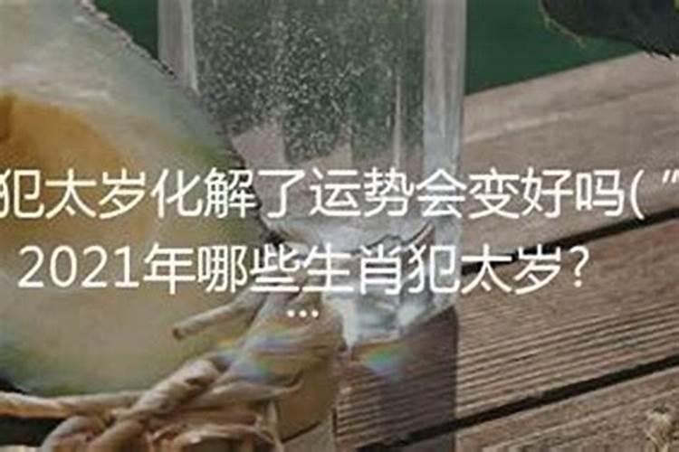 农历11月出生属鸡人命好吗