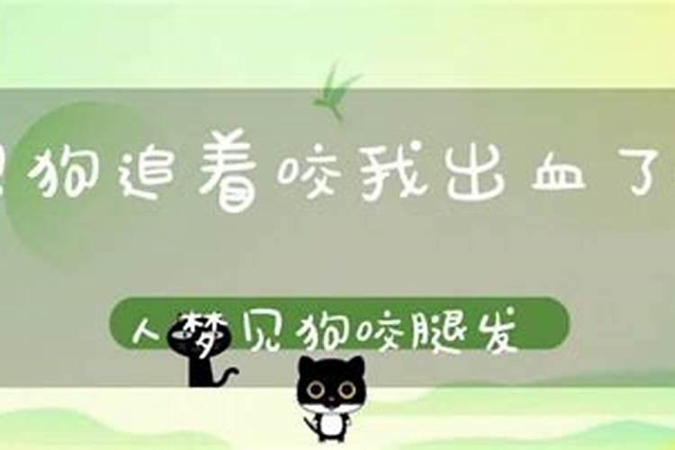 梦见狗追着咬我出血了
